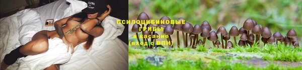 mdma Краснослободск