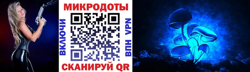 Псилоцибиновые грибы мицелий  где найти наркотики  Шумерля 